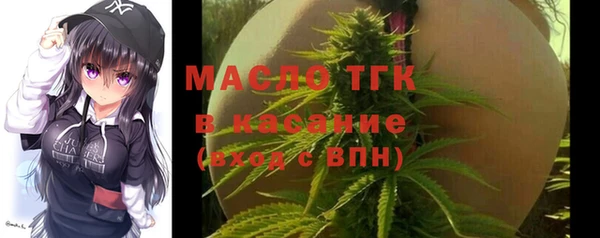 СК Алексин