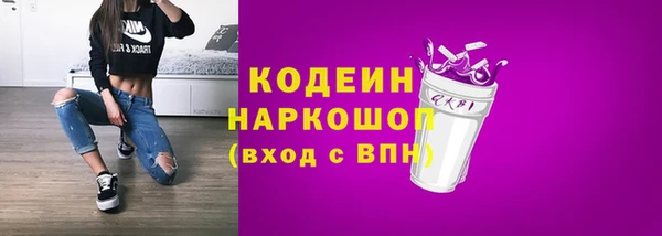 СК Алексин