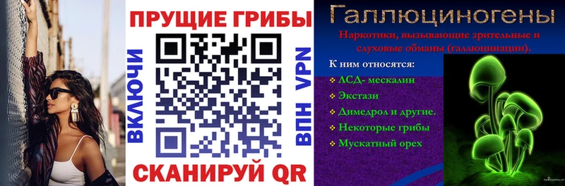 Галлюциногенные грибы MAGIC MUSHROOMS  закладка  Талдом 